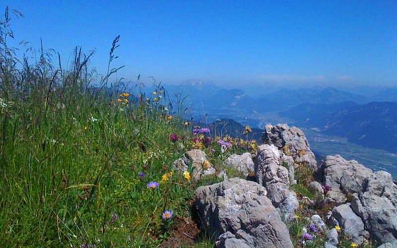 Gasthof Pension Alpenblick Radfeld Eksteriør bilde